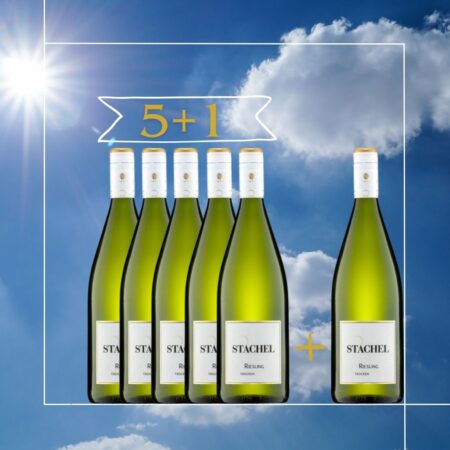5 + 1 Riesling trocken